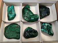 Polished Flower Banded Malachite Free Forms x 6 From Congo