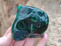 Polished Flower Banded Malachite Free Forms x 6 From Congo