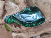 Polished Flower Banded Malachite Free Forms x 6 From Congo