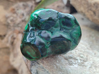 Polished Flower Banded Malachite Free Forms x 6 From Congo