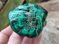 Polished Flower Banded Malachite Free Forms x 6 From Congo