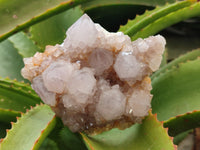 Natural Amethyst Spirit Quartz Clusters x 3 From South Africa