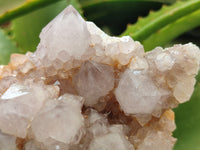 Natural Amethyst Spirit Quartz Clusters x 3 From South Africa