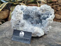 Natural Celestite Geode Specimen with Acicular Crystals x 1 From Sakoany, Madagascar