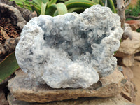 Natural Celestite Geode Specimen with Acicular Crystals x 1 From Sakoany, Madagascar