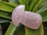 Polished Rose Quartz Mushrooms x 3 From Ambatondrazaka, Madagascar