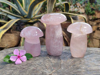 Polished Rose Quartz Mushrooms x 3 From Ambatondrazaka, Madagascar