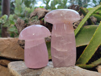 Polished Rose Quartz Mushrooms x 3 From Ambatondrazaka, Madagascar