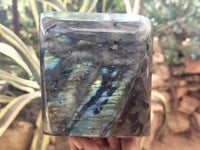 Polished Labradorite Standing Free Forms x 1 From Tulear, Madagascar