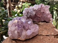 Natural Jacaranda Amethyst Quartz Clusters x 4 From Mumbwa, Zambia