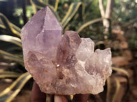 Natural Jacaranda Amethyst Quartz Clusters x 4 From Mumbwa, Zambia