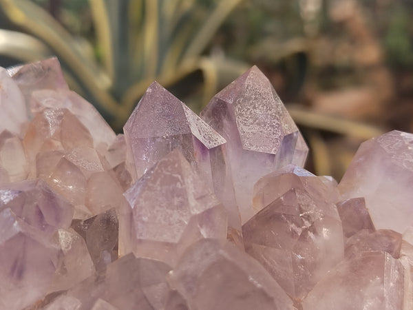 Natural Jacaranda Amethyst Quartz Clusters x 4 From Mumbwa, Zambia