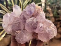 Natural Jacaranda Amethyst Quartz Clusters x 4 From Mumbwa, Zambia