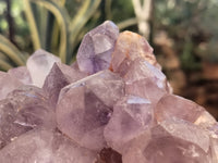 Natural Jacaranda Amethyst Quartz Clusters x 4 From Mumbwa, Zambia