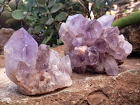 Natural Jacaranda Amethyst Quartz Clusters x 4 From Mumbwa, Zambia