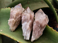 Natural Smokey Phantom Quartz Clusters x 35 From Luena, Congo