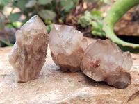 Natural Smokey Phantom Quartz Clusters x 35 From Luena, Congo