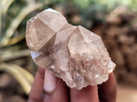 Natural Smokey Phantom Quartz Clusters x 35 From Luena, Congo