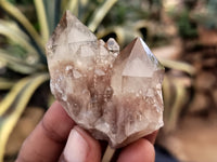 Natural Smokey Phantom Quartz Clusters x 35 From Luena, Congo