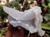 Natural Etched Blue Chalcedony Specimens x 12 From Nsanje, Malawi