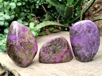 Polished Stichtite Standing Free Forms x 3 From Barberton, South Africa