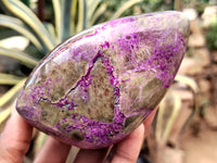 Polished Stichtite Standing Free Forms x 3 From Barberton, South Africa