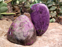 Polished Stichtite Standing Free Forms x 3 From Barberton, South Africa