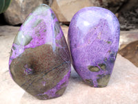 Polished Stichtite Standing Free Forms x 3 From Barberton, South Africa