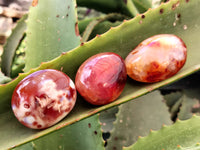 Polished Carnelian Palm Stones x 16 From Madagascar