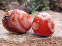 Polished Carnelian Palm Stones x 16 From Madagascar