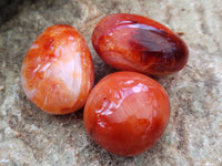 Polished Carnelian Palm Stones x 16 From Madagascar