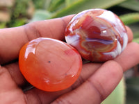 Polished Carnelian Palm Stones x 16 From Madagascar