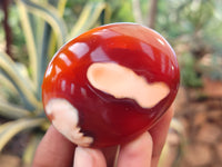 Polished Carnelian Palm Stones x 16 From Madagascar