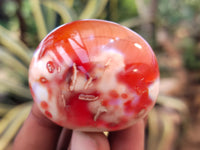 Polished Carnelian Palm Stones x 16 From Madagascar