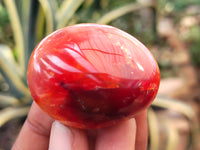 Polished Carnelian Palm Stones x 16 From Madagascar