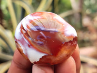 Polished Carnelian Palm Stones x 16 From Madagascar