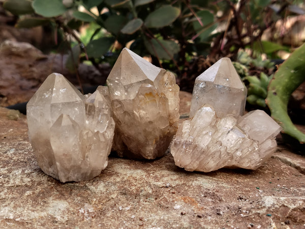 Natural Smokey Phantom Quartz Clusters x 12 From Luena, Congo