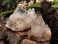 Natural Smokey Phantom Quartz Clusters x 12 From Luena, Congo