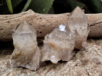 Natural Smokey Phantom Quartz Clusters x 12 From Luena, Congo