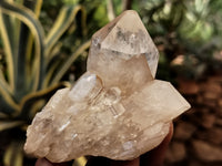 Natural Smokey Phantom Quartz Clusters x 12 From Luena, Congo