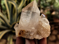 Natural Smokey Phantom Quartz Clusters x 12 From Luena, Congo