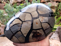 Polished Septerye Sauvage "Dragons Egg" x 1 From Mahajanga, Madagascar