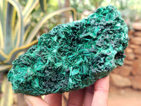 Natural Silky Malachite Specimens x 3 From Kasompe, Congo