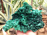 Natural Silky Malachite Specimens x 3 From Kasompe, Congo