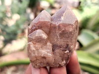 Natural Mixed Quartz Specimens x 24 From Southern Africa