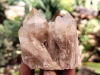 Natural Mixed Quartz Specimens x 24 From Southern Africa