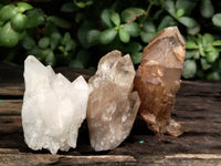 Natural Mixed Quartz Specimens x 24 From Southern Africa