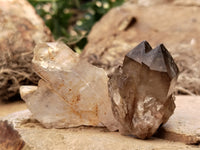 Natural Mixed Quartz Specimens x 24 From Southern Africa