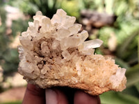 Natural Mixed Quartz Specimens x 24 From Southern Africa