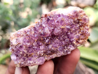 Natural Mixed Quartz Specimens x 24 From Southern Africa